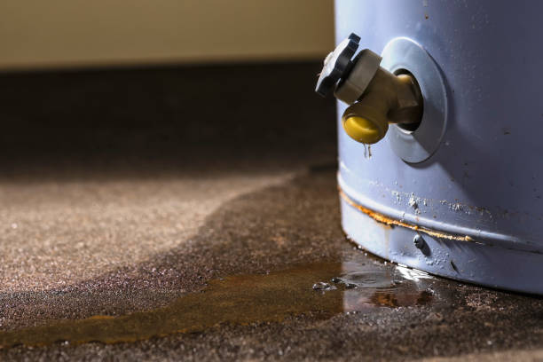 Reliable FL Water damage restoration Solutions