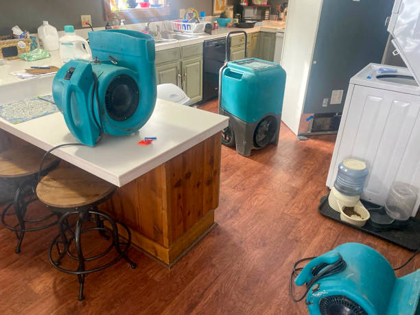Best 24-hour water damage restoration  in Fussels Corner, FL