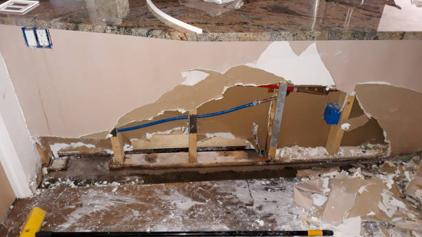 Best Professional water damage repair  in Fussels Corner, FL