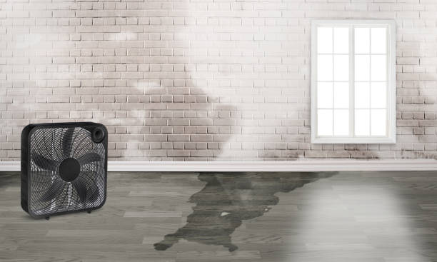  Fussels Corner, FL Water damage restoration Pros