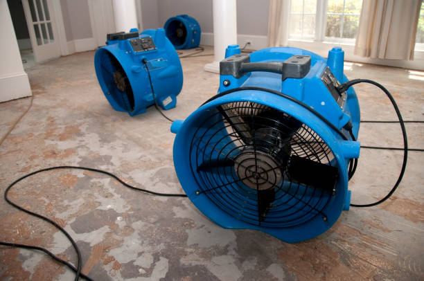 Best Ceiling water damage repair  in Fussels Corner, FL