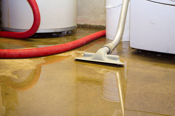 Best Fire Damage Restoration  in Fussels Corner, FL