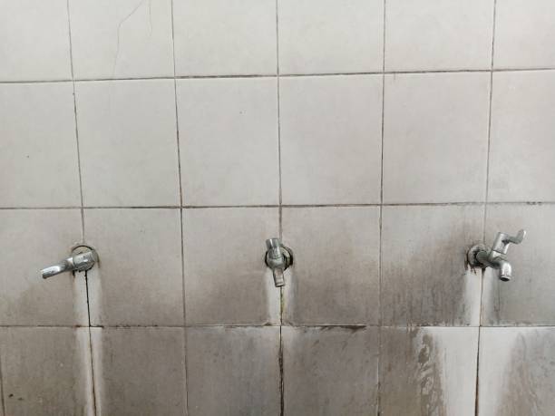 Best Water damage contractors near me  in Fussels Corner, FL