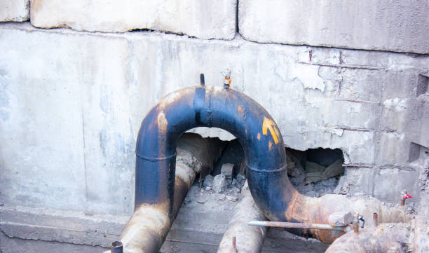 Best Local water damage restoration  in Fussels Corner, FL