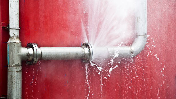 Best Carpet water damage restoration  in Fussels Corner, FL